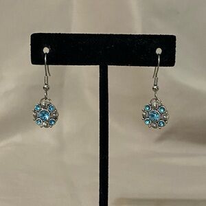 Silver & Gem Earrings